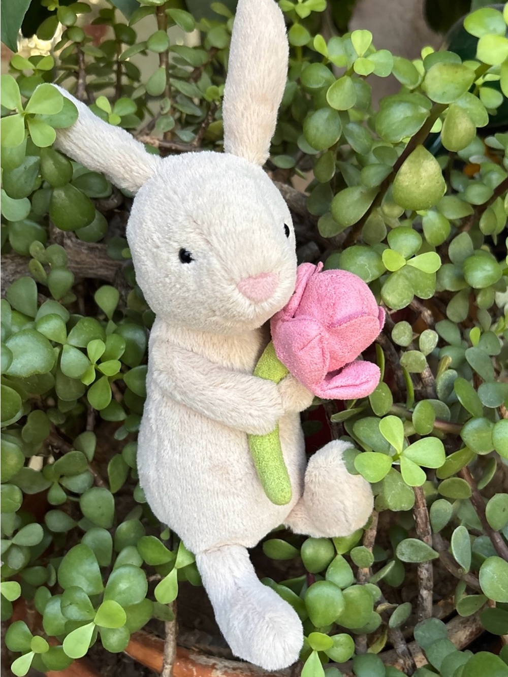 RETIRED Jellycat BONNIE BUNNY w/ PEONY pink flower Genuine US seller collect HTF - Picture 8 of 16